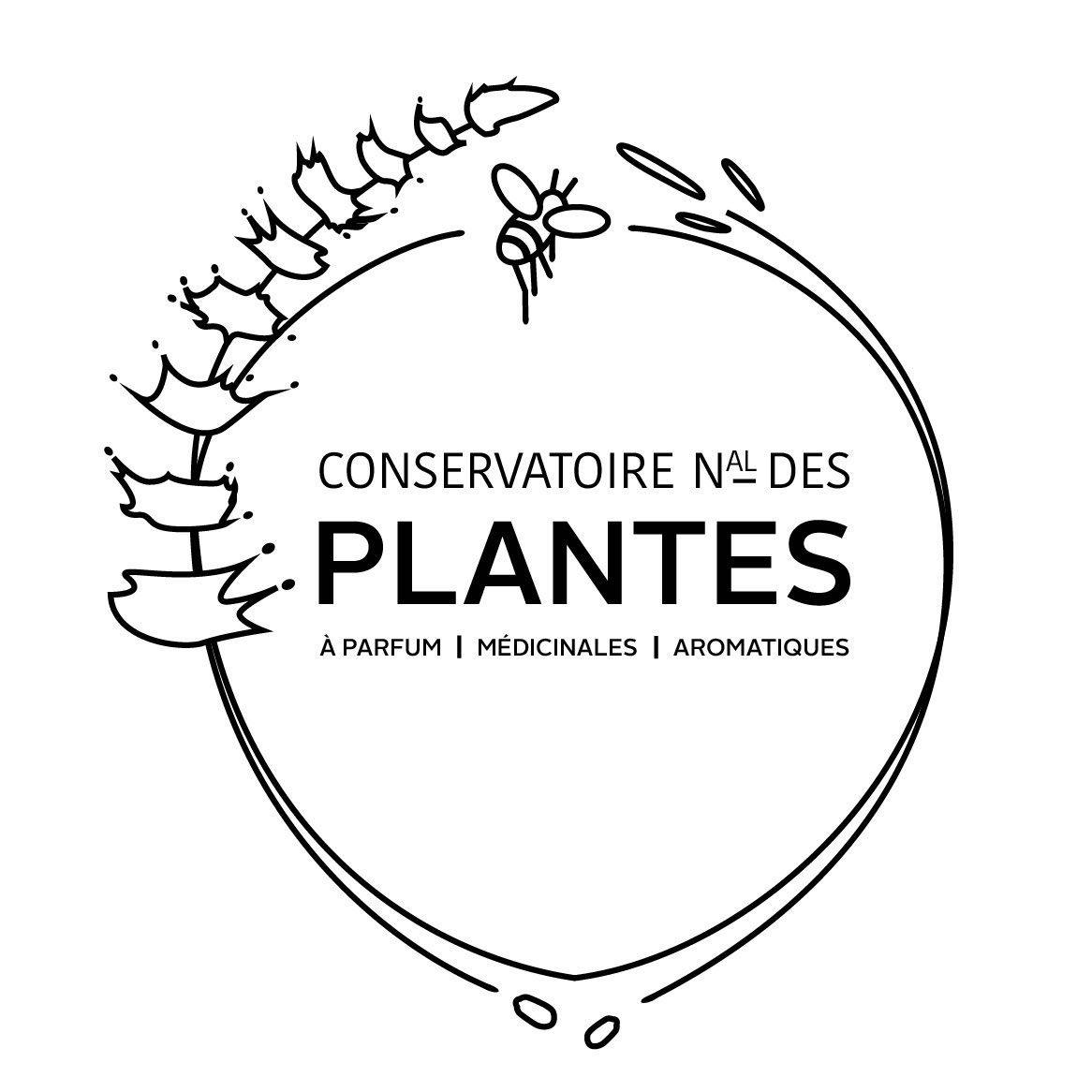 Champ de plantes aromatiques